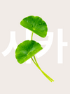 Yepoda.fr