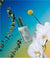 The Make My Day Cream Recharge
